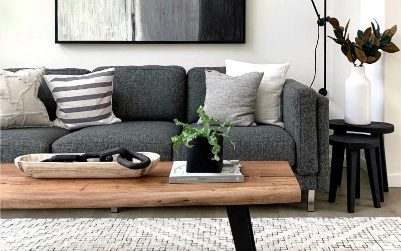 a couch with a coffee table with a plant and decor on it